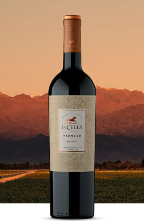 Vinho Pioneer - La Celia