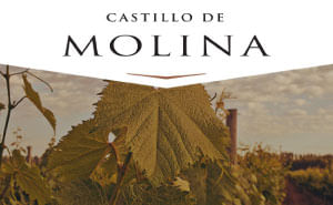 Castillo Molina Loja Especial