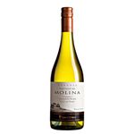 vinho-castillo-de-molina-reserva-sauvignon-blanc-750ml
