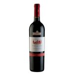 vinho-follies-touriga-nacional-cabernet-sauvignon-750ml