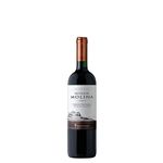 vinho-tinto-castillo-de-molina-reserva-cab-sauv-375ml