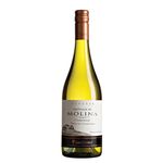 vinho-branco-castillo-de-molina-reserva-chard-750ml