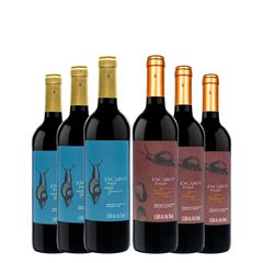 Kit de Vinhos Espanhóis III - 06 Unidades