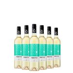 kit-6-trevo-branco