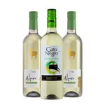 kit-alpaca-sauv-blanc-gato-negro-sauv-blanc