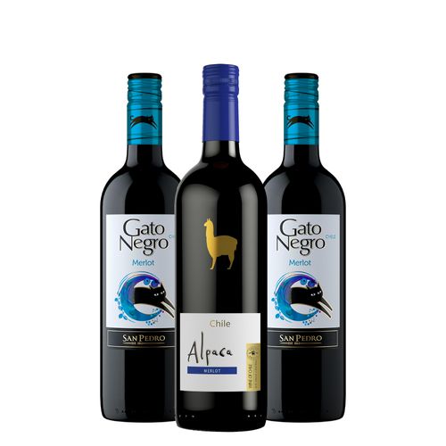 Kit Gato Negro e Alpaca Merlot - 3 Unidades