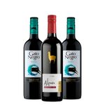 kit-gato-negro-malbec-e-alpaca-cab-sauv-merlot