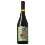 bizarra-tannat-amphora