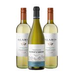 kit-2-trapiche-alaris-branco-1-trapiche-vineyards-chardonnay