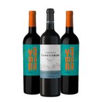 kit-yamana-malbec-vineyards-cabernet