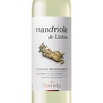 vinho-branco-portugues-mandriola-2