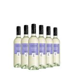 kit-6-caleo-pinot-grigio