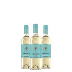 kit-3-toro-loco-viura-sauvignon-blanc