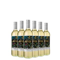 Kit Vinho Branco Trapiche Astica Chardonnay Chenin 750ml 06 Unidades