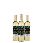 kit-3-astica-torrontes