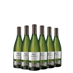 Kit Vinho Branco Trapiche Roble Chardonnay 750ml 06 Unidades