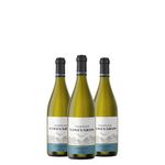 kit-3-trapiche-vineyards-chardonnay