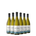 kit-6-trapiche-vineyards-chardonnay