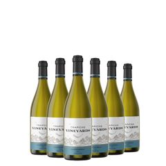 Kit Vinho Branco Trapiche Vineyards Chardonnay 750ml 06 Unidades