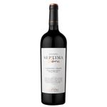 vinho-septima-obra-cabernet-franc