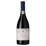 vinho-portugues-quinta-boavista-vinha-do-oratorio-1