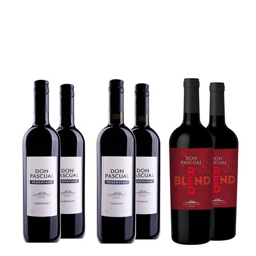 Kit Vinhos Uruguaios 06 Unidades