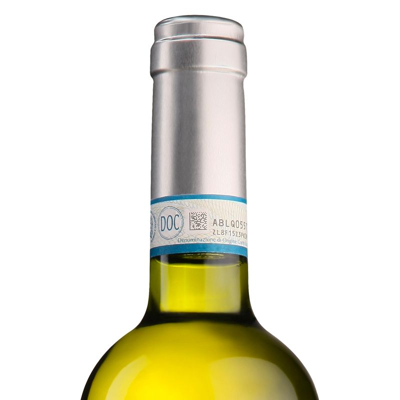 batasiolo-langhe-doc-chardonnay-vigneto-morino-3