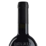 batasiolo-barolo-brunate-docg-3