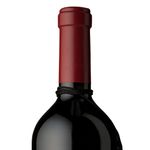 escorihuela-gascon-pequenas-producciones-syrah-3