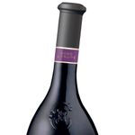 vinho-tinto-frances-jpchenet-merlot-2