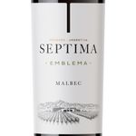 vinho-tinto-argentino-septima-malbec-2