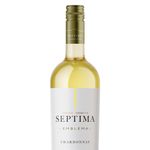 vinho-branco-argentino-septima-chardonnay-2