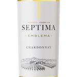 vinho-branco-argentino-septima-chardonnay-3