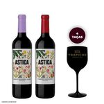kit-astica-essenciais-ii-taca-acrilico