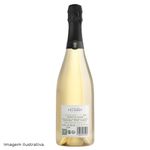 champagne-telmont-blanc-de-blancs-2