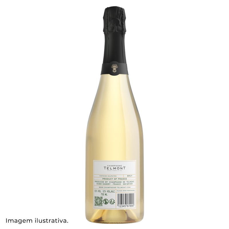 champagne-telmont-blanc-de-blancs-2