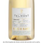 champagne-telmont-blanc-de-blancs-3