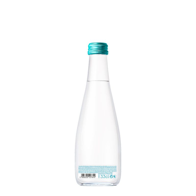 agua-mineral-evian-com-gas-330ml-2
