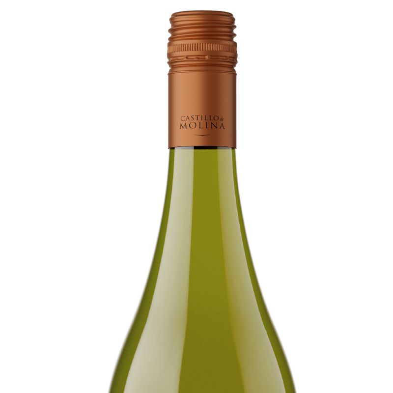 castillo-molina-gran-reserva-sauvignon-blanc-3