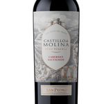 castillo-molina-gran-reserva-cabernet-sauvignon-2