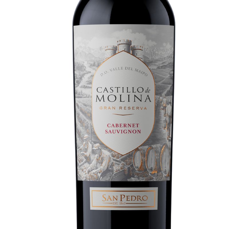 castillo-molina-gran-reserva-cabernet-sauvignon-2