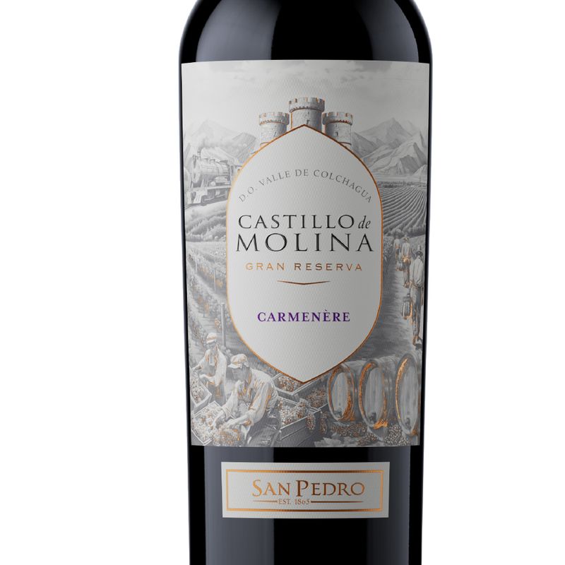 castillo-molina-gran-reserva-carmenere-2