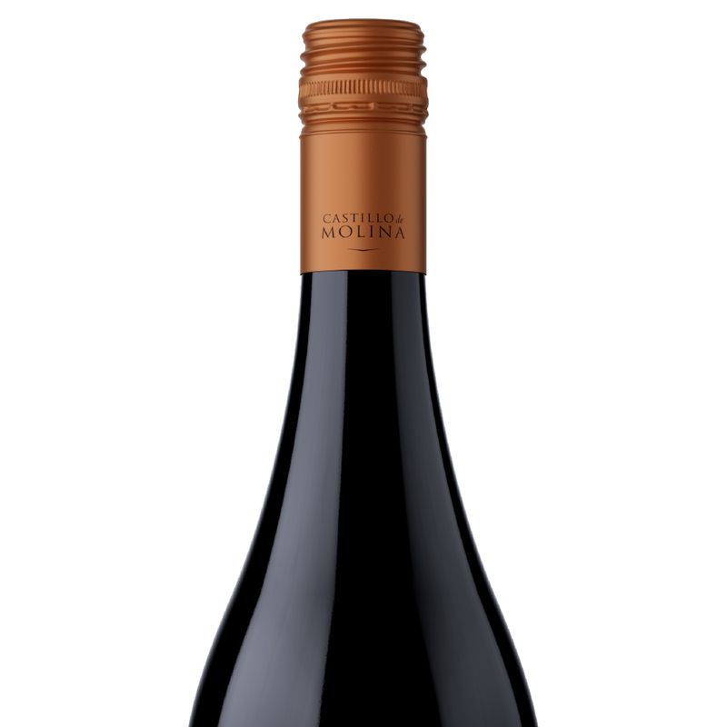 castillo-molina-gran-reserva-pinot-noir-3