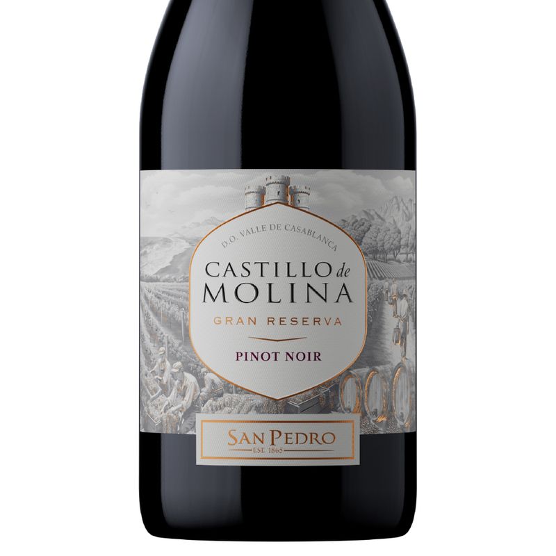 castillo-molina-gran-reserva-pinot-noir-2