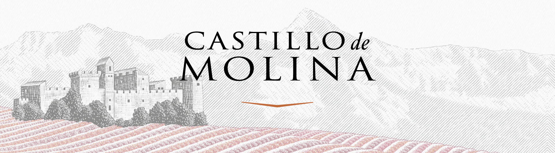 Castillo de Molina