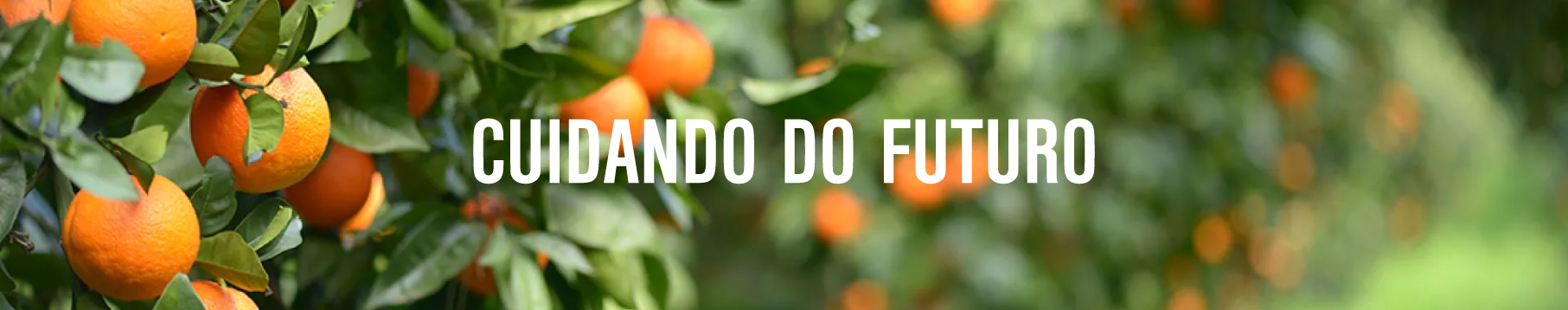 Cuidando do Futuro - Cointreau
