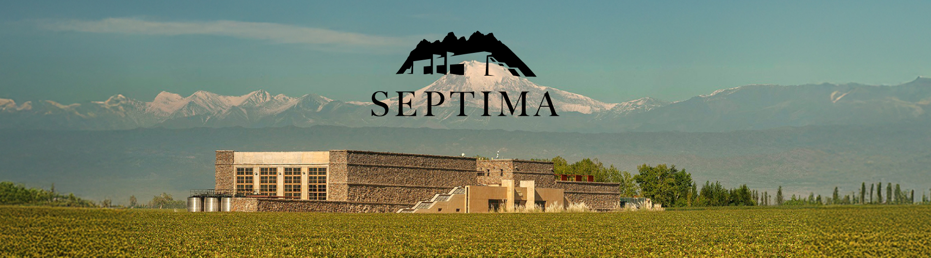 Bodega Septima