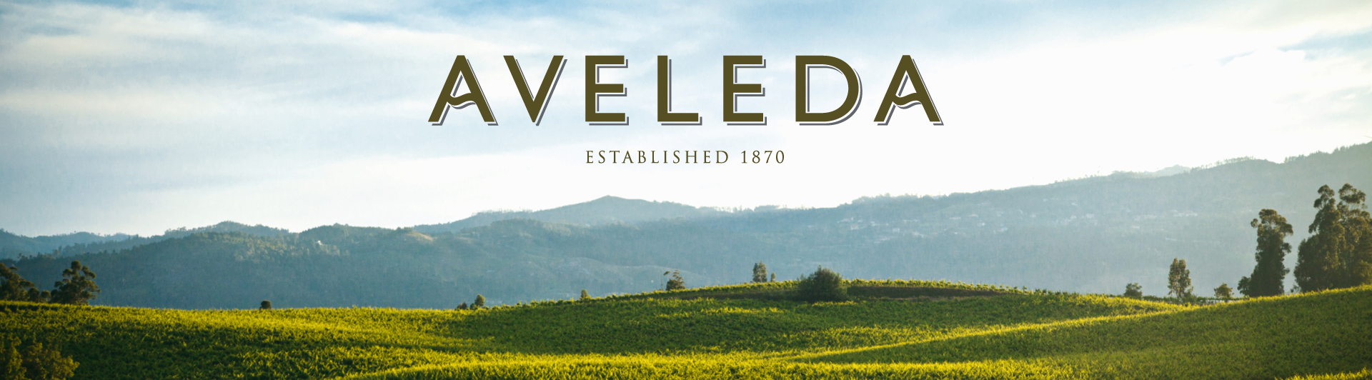 Aveleda