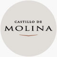 Castillo de Molina