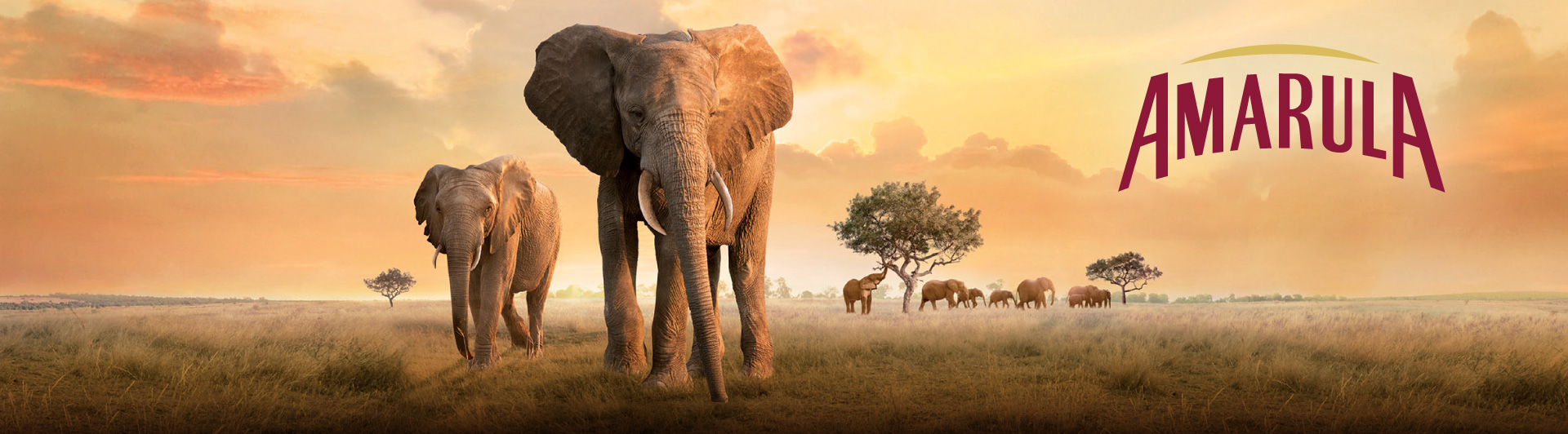 Amarula